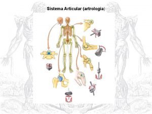 Sistema Articular artrologia I Introduo 1 Generalidades 2
