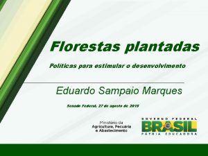 Florestas plantadas Polticas para estimular o desenvolvimento Eduardo