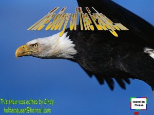 Life span of eagle