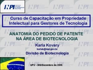 Curso de Capacitao em Propriedade Intelectual para Gestores