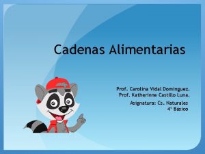 Cadenas Alimentarias Prof Carolina Vidal Dominguez Prof Katherinne