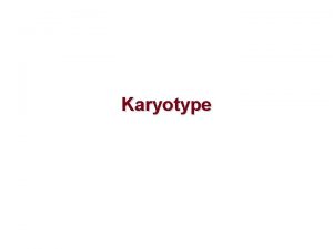 Karyotype Why is karyotype Karyotype The characterization of