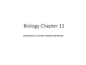 Biology Chapter 11 Introduction to Genetics Mendel and