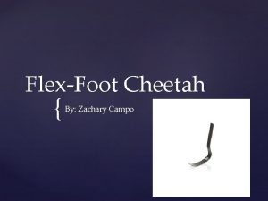 Flex foot cheetah