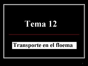 Tema 12 Transporte en el floema 1 Objetivo