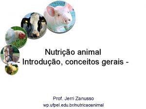 Nutrio animal Introduo conceitos gerais Prof Jerri Zanusso
