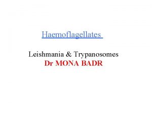 Haemoflagellates Leishmania Trypanosomes Dr MONA BADR Different stages