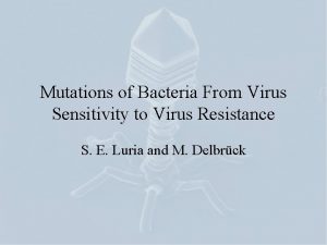 Mutations of Bacteria From Virus Sensitivity to Virus