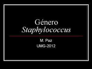 Gnero Staphylococcus M Paz UMG2012 Gnero Staphylococcus Familia