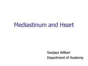 Mediastinum and Heart Sanjaya Adikari Department of Anatomy