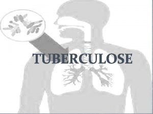 TUBERCULOSE A tuberculose TB uma doena infecciosa que