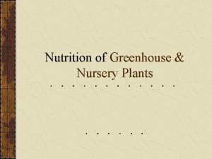 Nutrition of Greenhouse Nursery Plants Nutrition We all