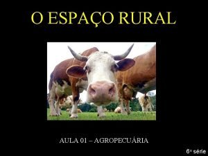 O ESPAO RURAL AULA 01 AGROPECURIA 6 a