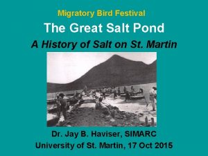 Migratory Bird Festival The Great Salt Pond A