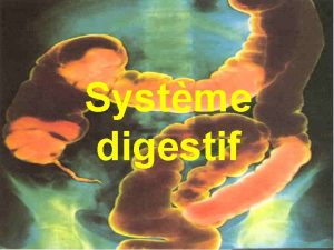 Systme digestif CARACTRISTIQUES GNRALES Glandes salivaires Bouche Form