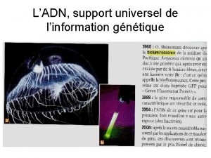 LADN support universel de linformation gntique BILAN On