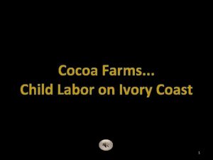 Cocoa Farms Child Labor on Ivory Coast 1