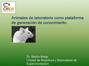 Animales de laboratorio como plataforma de generacin de