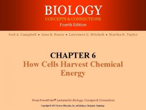 BIOLOGY CONCEPTS CONNECTIONS Fourth Edition Neil A Campbell