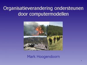 Mark hoogendoorn