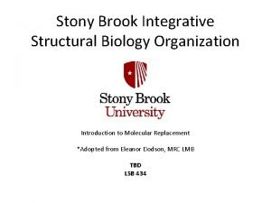 Stony Brook Integrative Structural Biology Organization Introduction to