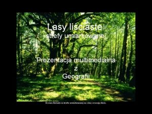 Lasy w polsce prezentacja