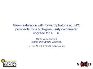 Gluon saturation with forward photons at LHC prospects