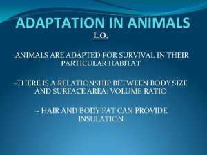 ADAPTATION IN ANIMALS L O ANIMALS ARE ADAPTED