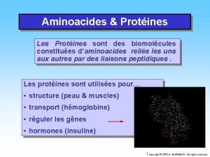 Aminoacides Protines Les Protines sont des biomolcules constitues