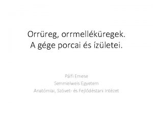 Orrreg orrmellkregek A gge porcai s zletei Plfi