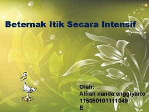 Beternak Itik Secara Intensif Oleh Alfian nanda enggiyarto