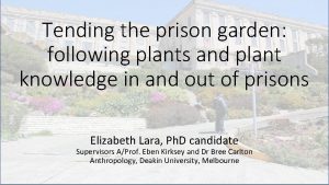 Tending the prison garden following plants and plant
