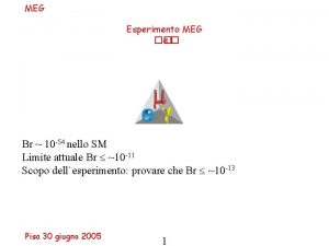 MEG Esperimento MEG e Br 10 54 nello
