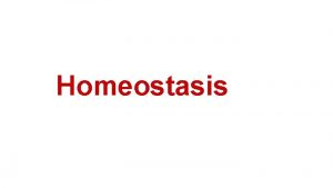 What is homeostasis