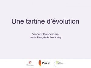 Une tartine dvolution Vincent Bonhomme Institut Franais de