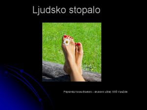 Ljudsko stopalo