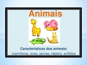 Animais cobertos de penas