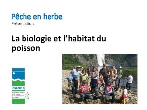 Pche en herbe Prsentation La biologie et lhabitat