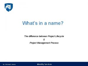Project life cycle