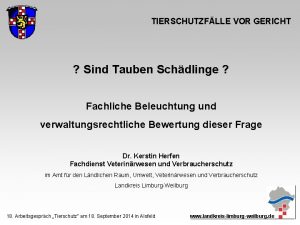 TIERSCHUTZFLLE VOR GERICHT Sind Tauben Schdlinge Fachliche Beleuchtung