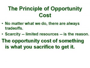 Opportunity cost principle