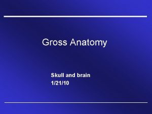 Gross Anatomy Skull and brain 12110 Identify the