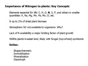 Rhizobium