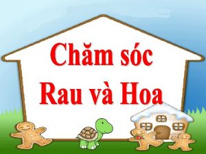 KHI NG Chu trng rau v hoa thng