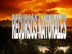Recursos renovables