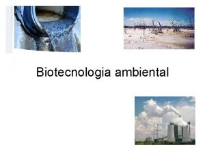 Biotecnologia ambiental O uso adequado da natureza plantas