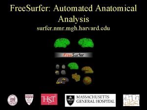 Free Surfer Automated Anatomical Analysis surfer nmr mgh