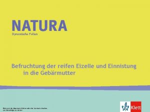 Dynamische Folien Befruchtung der reifen Eizelle und Einnistung