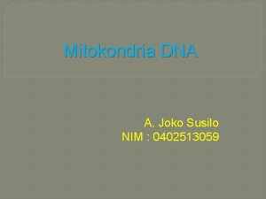 Mitokondria DNA A Joko Susilo NIM 0402513059 A