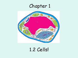 Chapter 1 1 2 Cells Cells cells and